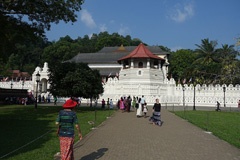 DSC01105a